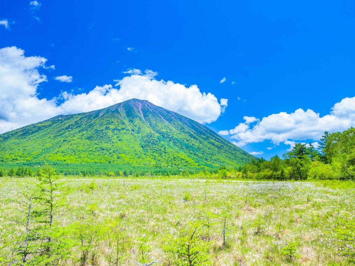 Okunikko Park Lodge Miyama Экстерьер фото