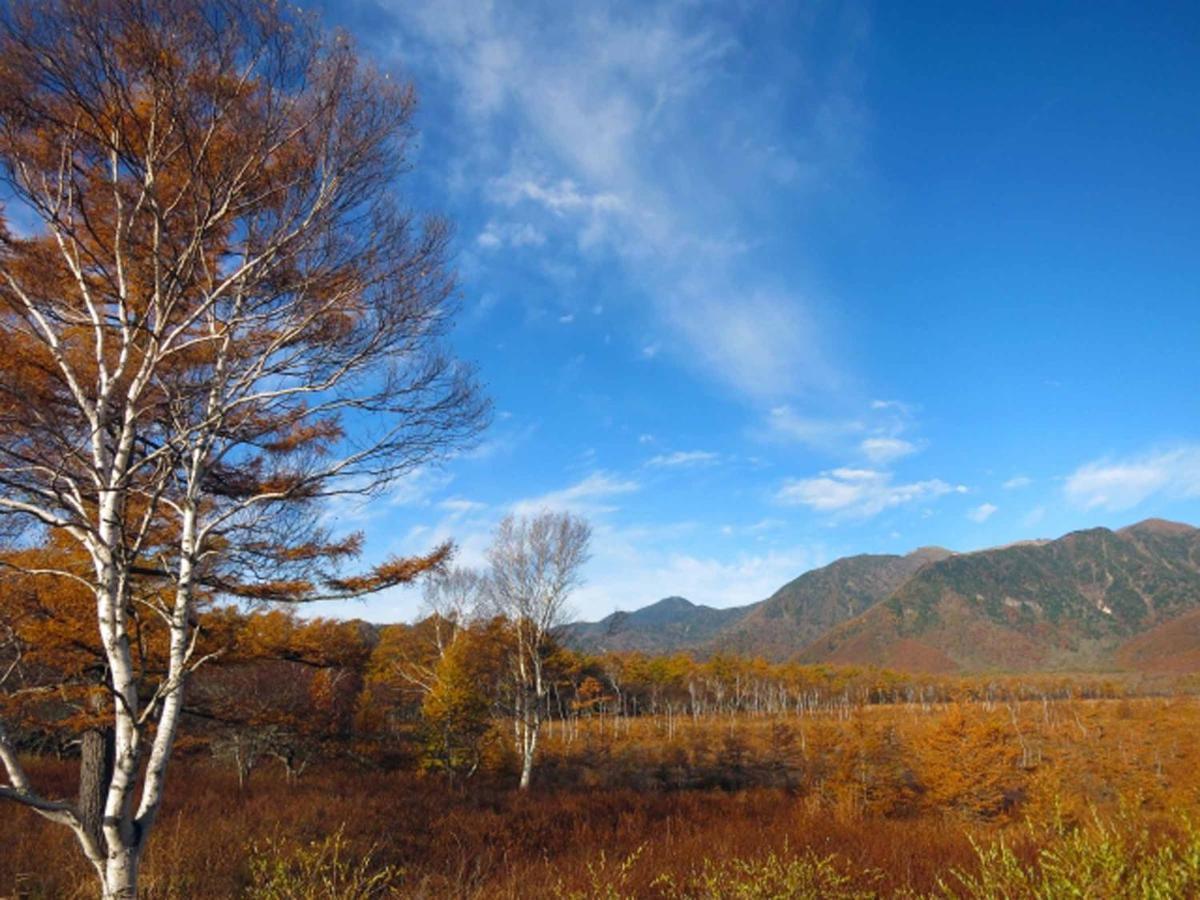 Okunikko Park Lodge Miyama Экстерьер фото